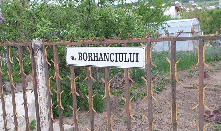 Gospodăriile localnicilor din Borhanci, afectate de turme de mistreți/Foto: strada Borhanciului