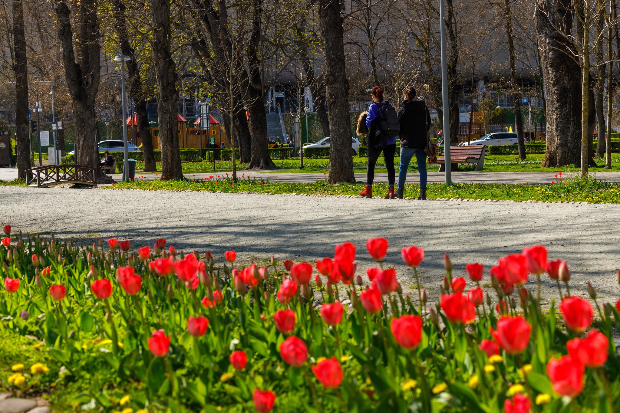 Cum va fi vremea în weekend, la Cluj? FOTO: Facebook/ Emil Boc