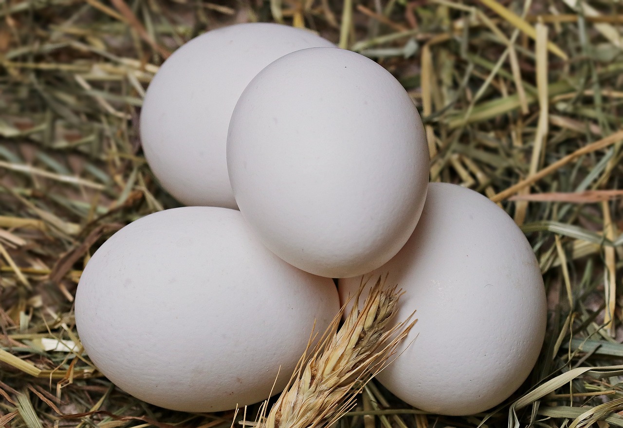 Ouăle sunt alimente care ajută la menținerea siluetei și sunt o sursă importantă de nutrieți. FOTO: Pixabay