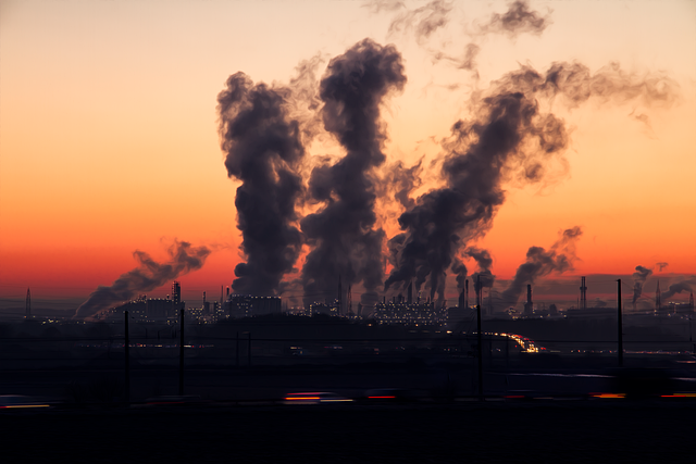 Poluarea aerului provoacă moartea prematură a cel puţin 1.200 de copii şi adolescenţi în fiecare an în Europa/ Foto: pixabay.com