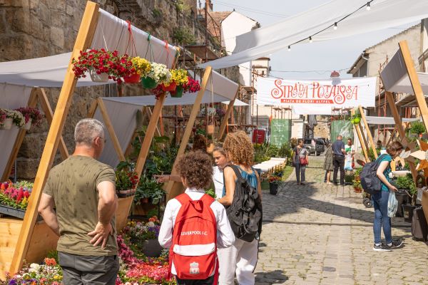 Piața de flori altfel revine în perioada 1-5 iunie la Cluj-Napoca, pe Strada Potaissa/ Foto: Strada Potaissa - Facebook