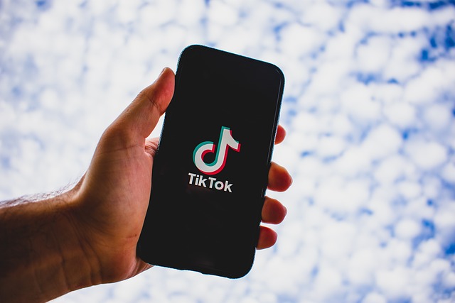 Aplicația TikTok ar putea fi interzisă în instituțiile publice / Foto: pixabay.com