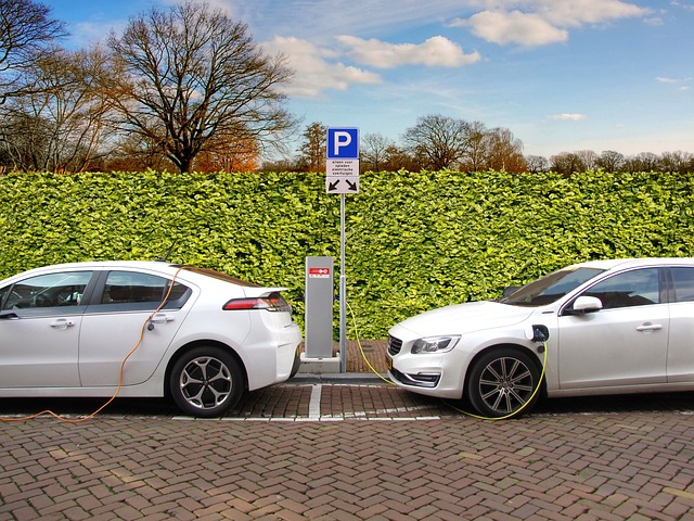Mașini electrice în stația de încărcare/ Foto: pixabay.com