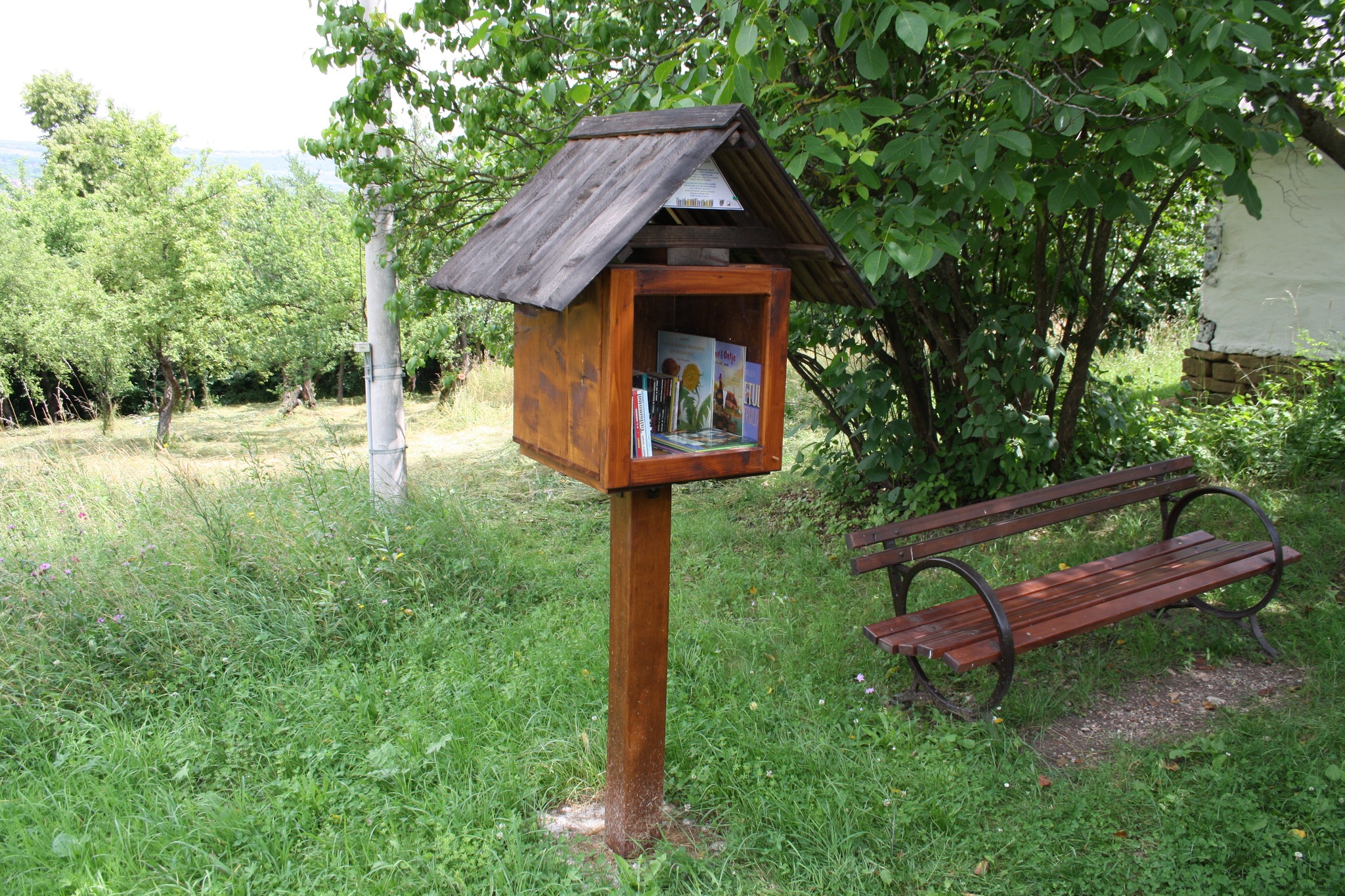 Lectură în parc / Foto: Consiliul Județean Cluj
