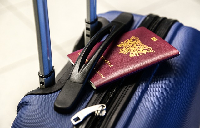 Pașaport pe un bagaj/ Foto: pixabay.com