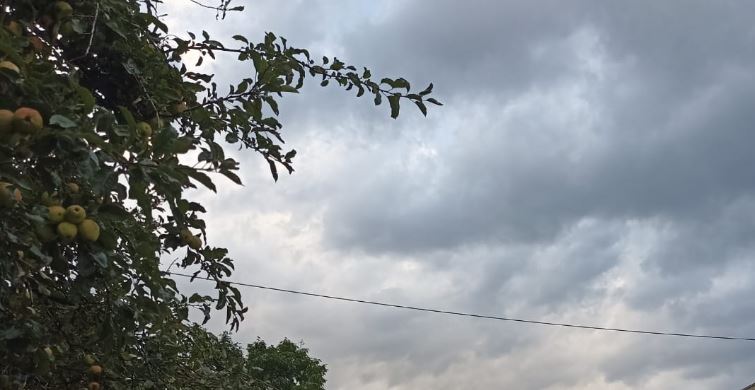 Vreme instabilă și ploi, în Cluj, miercuri, 2 august 2023/Foto: monitorulcj.ro
