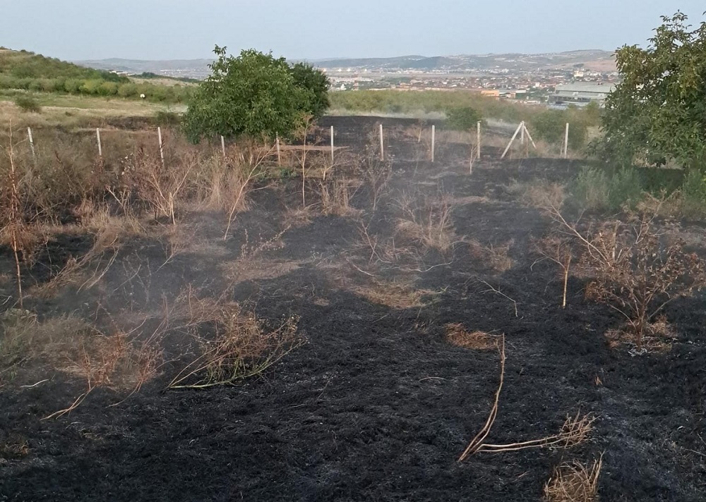 Două hectare de vegetație uscată mistuite de flăcări pe Bulevardul Muncii. Foto: ISU Cluj