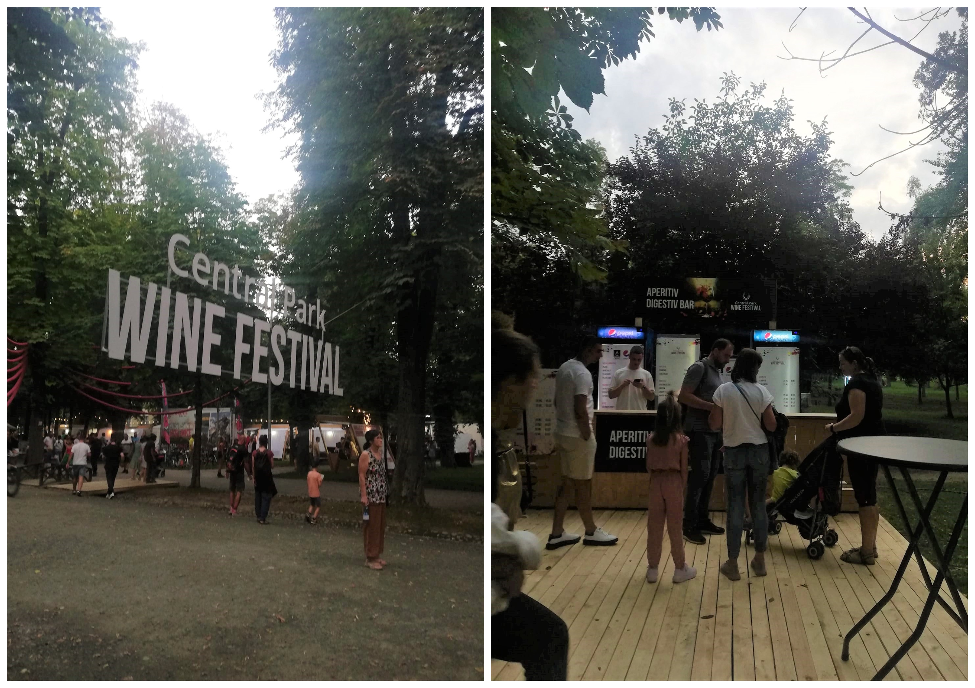 Află totul despre vin, la cel mai mare festival în aer liber dedicat acestuia. FOTO: Paul Gheorgheci
