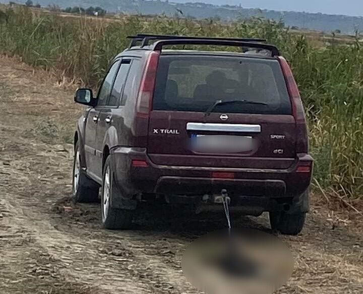 Un șofer a legat un câine de o mașină și l-a târât pe un drum de pământ din Galați/ Foto: Protectia Animalelor Galati - Facebook