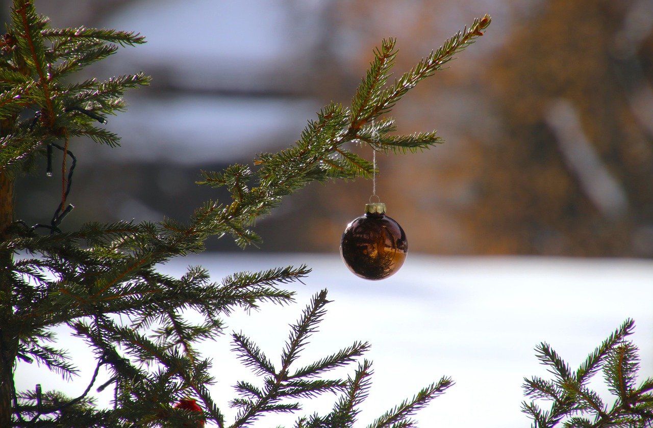 Cum va fi vremea de Crăciun și de Anul Nou? FOTO: Pixabay