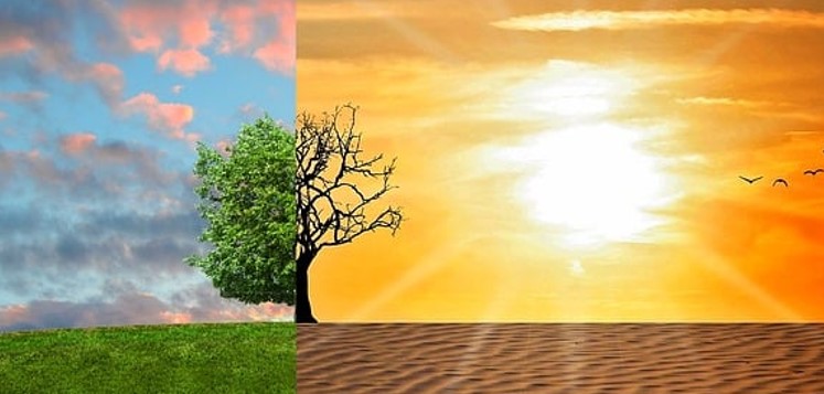 În 2023 s-au înregistrat niveluri record de secetă / Foto: pixabay.com