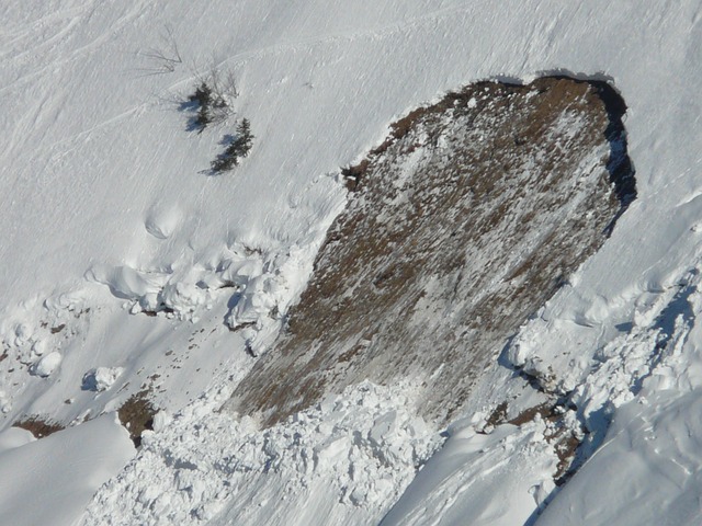Echipele de salvatori montani au descoperit trupurile neînsufleţite ale celor doi excursionişti italieni care au fost surprinşi de o avalanşă produsă duminică în Munţii Alpi/ Foto: pixabay.com