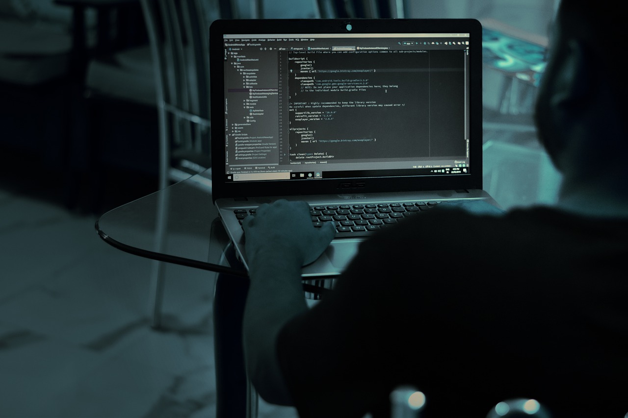 Site-ul Directoratului Naţional de Securitate Cibernetică, ţinta unui atac cibernetic. FOTO: Pixabay.com