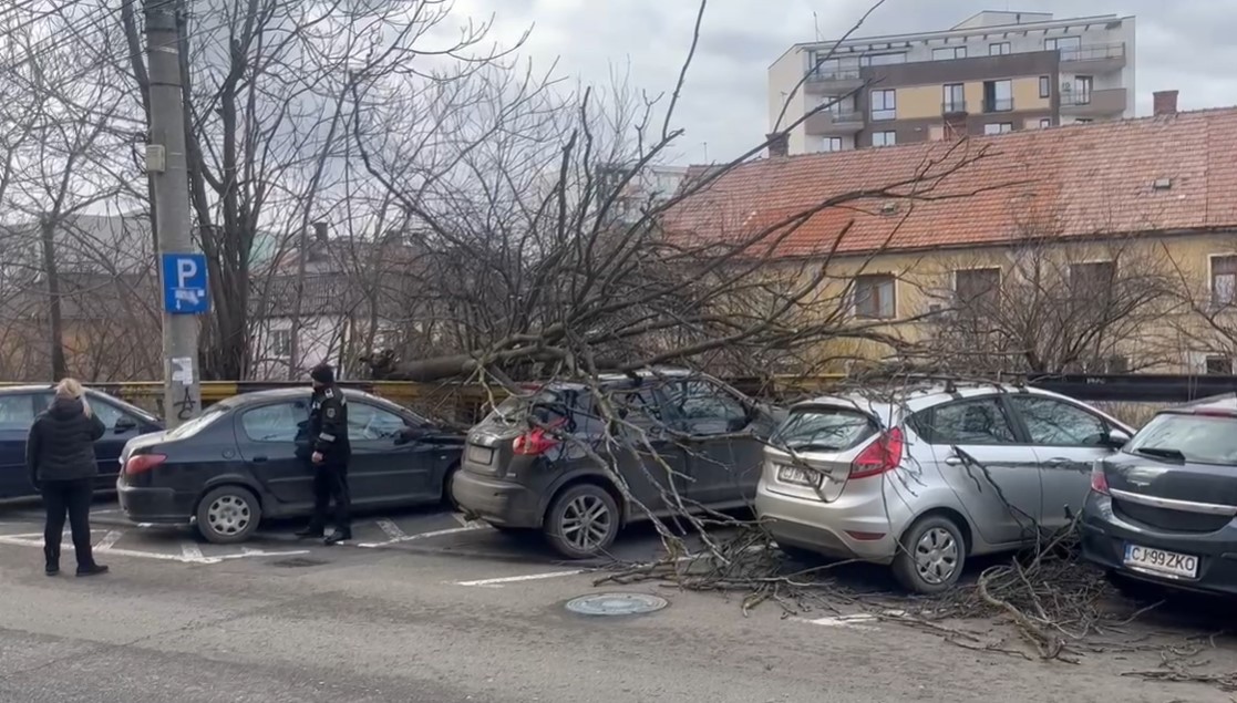 Vântul puternic a creat mai multe probleme în municipiul Cluj-Napoca/ Foto: Alex Prunean - Grup WhatsApp ISU Cluj