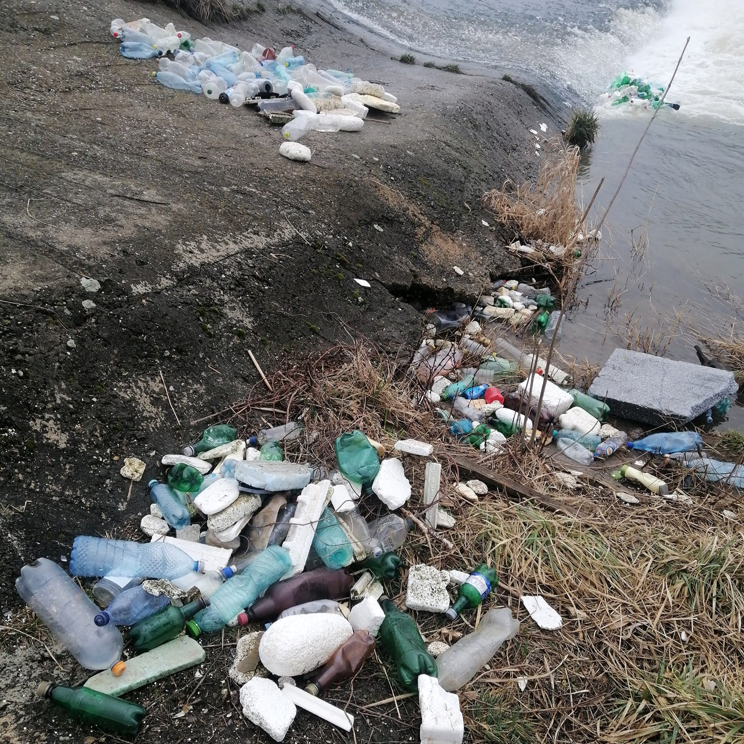 Malurile Someșului, „îngropate” de deșeuri. FOTO: Facebook/ Petrovici Lehel - Zoltán