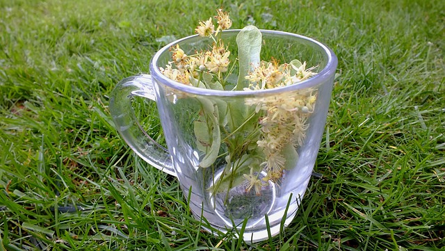Ceaiul de tei este recomandat datorită beneficiilor pe care le aduce organismului nostru/ Foto: pixabay.com