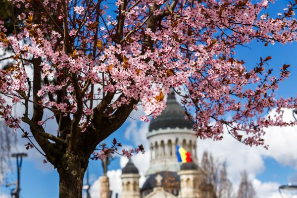 Primăvara a peste municipiul Cluj-Napoca/ Foto: Emil Boc - Facebook