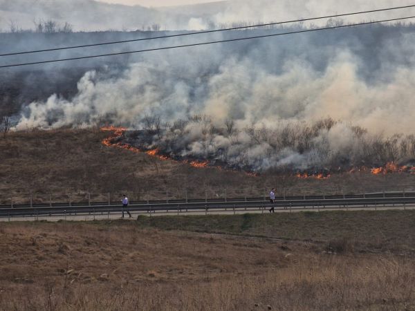 Un incendiu de vegetație a izbucnit, luni, în apropiere de Autostrada A3 între Săvădisla și Lita/ Foto: Paul Gheorgheci - Facebook
