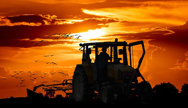 Exporturile agroalimentare ale Uniunii Europene au atins un nivel record în 2023. Sursă foto: Pixabay.com