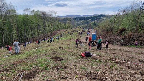 Asociatia CERT-Transilvania, împreună cu voluntarii, a reușit împădurirea unei suprafețe de teren în localitatea Tăuți, comuna Florești/ Foto: CERT Transilvania - Facebook