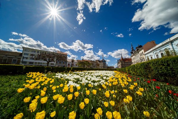 Vremea va fi călduroasă la Cluj-Napoca în acest sfârșit de săptămână/Foto: Municipiul Cluj-Napoca - Facebook