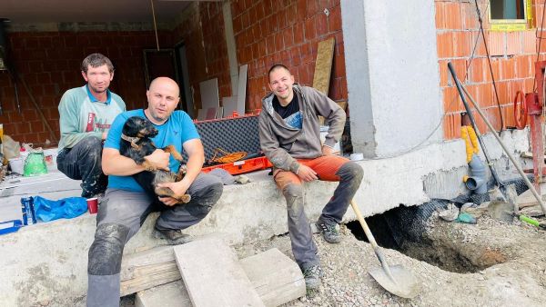 8 ore au încercat pompierii să îl scoată pe câine din vizuină/ Foto: ISU Cluj - Facebook