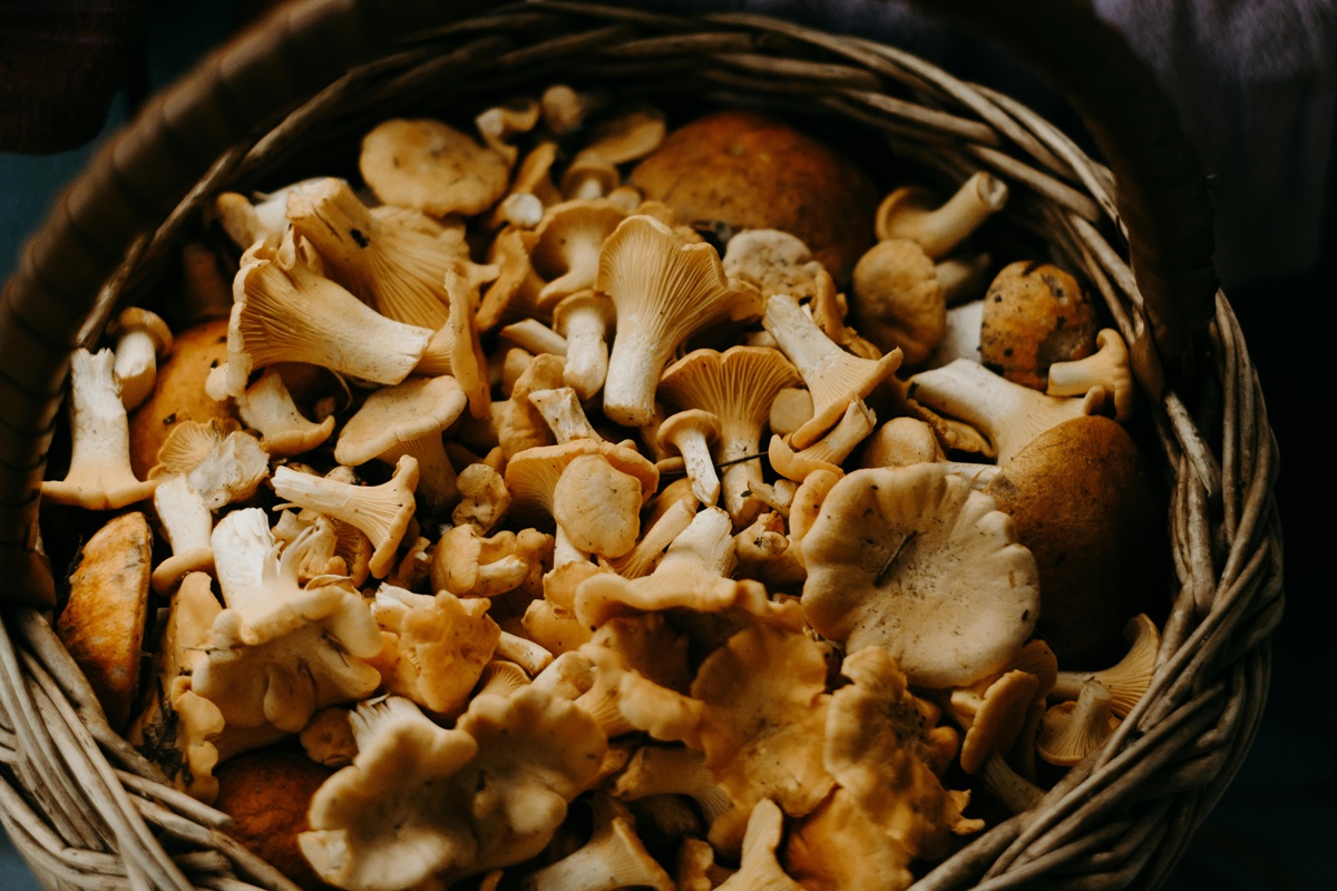 Cei care consumă 18 grame de ciuperci pe zi au un risc de cancer cu 45% mai mic decât cei care nu consumă. Foto: pexels.com