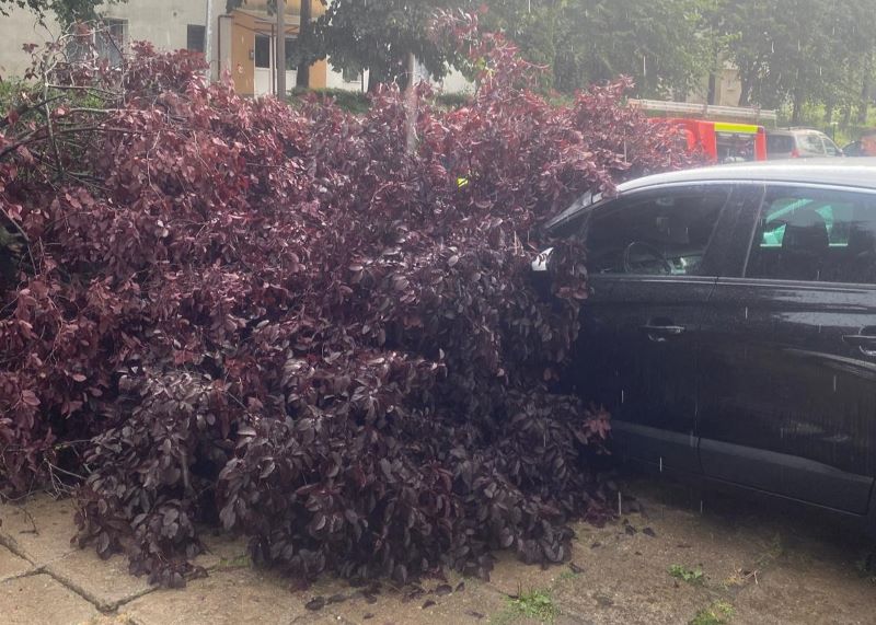 Mai multe mașini au fost avariate, joi, după ce furtuna a rupt arbori pe două străzi din Cluj-Napoca| Foto: ISU Cluj