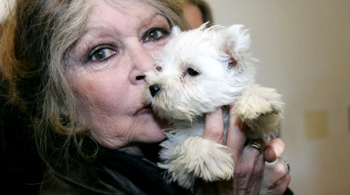 Brigitte Bardot, ca mamă: „Mai bine aveam un câine decât un copil”. Ce relație are cu fiul pe care l-a numit „tumoră canceroasă” când era însărcinată.