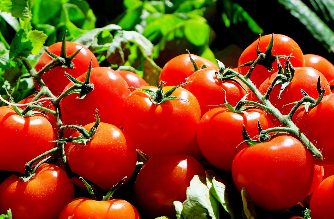 Beneficiile pentru sănătate ale roşiilor. De ce e bine să le consumi? | Foto: pixabay.com