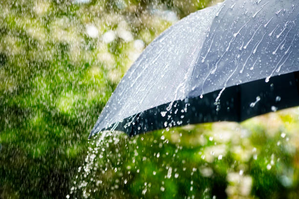 Cum va fi vremea marți, 6 august, la Cluj | Foto: pixabay.com