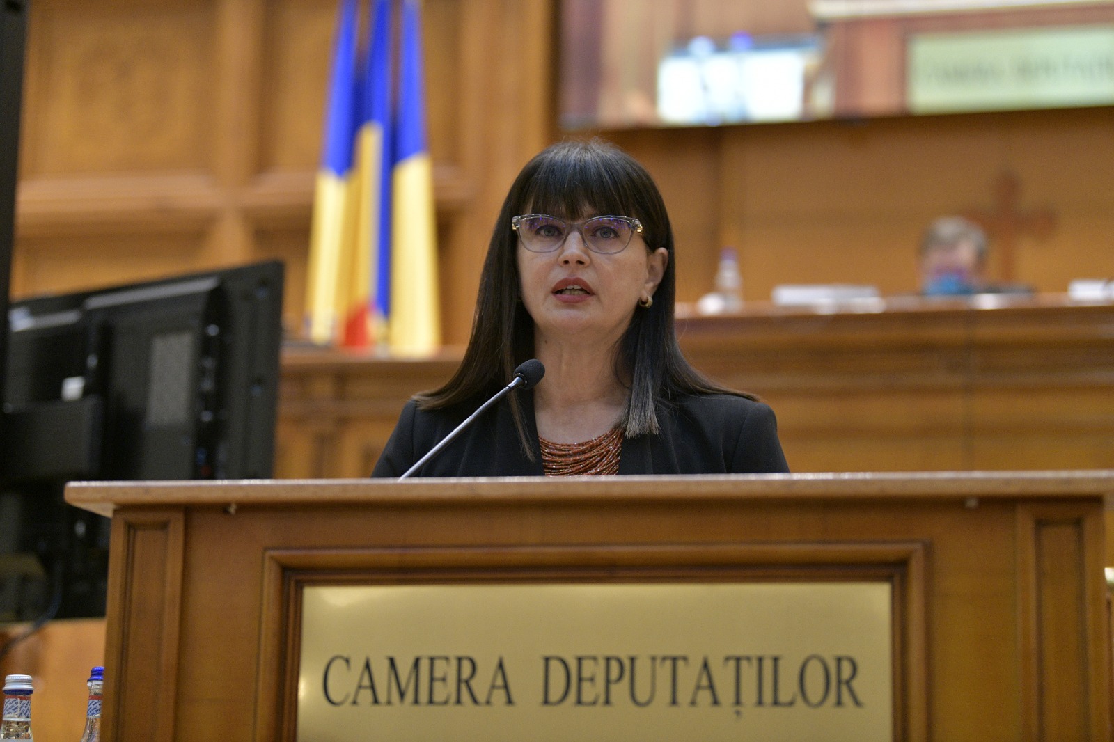 Cristina Burciu, deputat PNL de Cluj: „Ajutorul oferit sub formă de tichete de alimente, o măsură importantă de sprijin social” |Foto: Cristina Burciu - Facebook