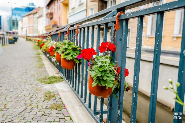 Ediţia a patra a campaniei Centrul Verde | Foto: Asociația Daisler