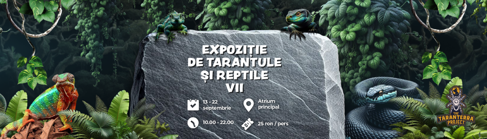 În total, Expoziția de tarantule și șerpi vii reunește 70 de exemplare ale celor mai cunoscute specii de pe glob, iar pasionații și curioșii sunt așteptați în Iulius Mall Cluj să le descopere și să își înfrângă fobiile!