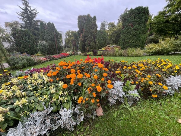 Grădina Botanică din Cluj-Napoca | Foto: Grădina Botanică „Alexandru Borza” Cluj-Napoca Universitatea Babeș-Bolyai - Facebook