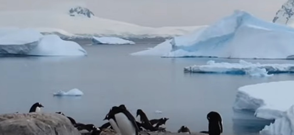 Antarctica, cel mai rece continent al planetei, a devenit destinația-surpriză pentru turiștii în căutare de lux. Foto: University of Universe