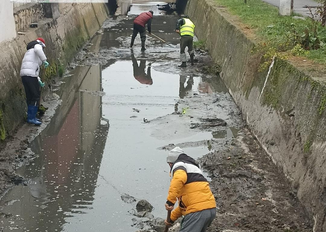 Acțiuni de curățare manuală și mecanizată pe Valea Sânaslău| Foto: Bogdan Pivariu - Facebook