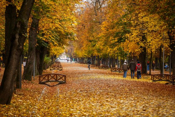 Vreme schimbătoare: Temperaturi ridicate la început de săptămână, urmate de o răcire bruscă a vremii|Foto: Municipiul Cluj-Napoca - Facebook