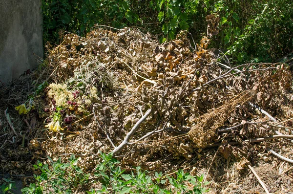 Campanie de colectare a deșeurilor vegetale, la Florești | Foto: depositphotos.com