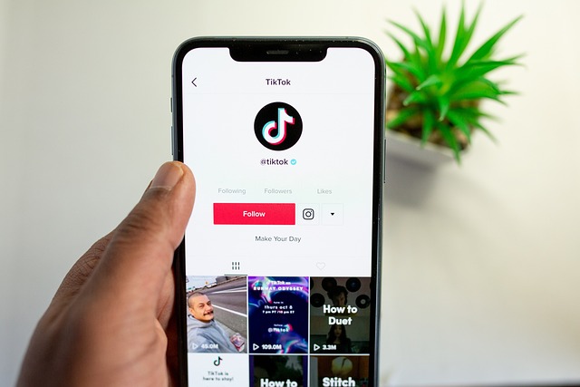 Un clujean este cercetat sub control judiciar pentru instigare publică, după ce a postat pe rețeaua de socializare TikTok un mesaj prin care îndemna publicul să participe la proteste violente | Foto: pixabay.com