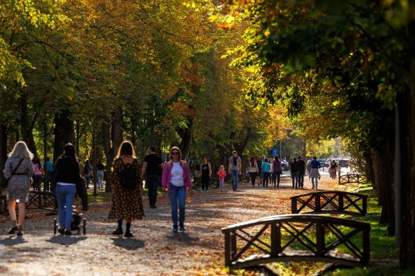 Temperaturi scăzute, dar cu cer senin și vreme frumoasă| Foto: Municipiul Cluj-Napoca - Facebook