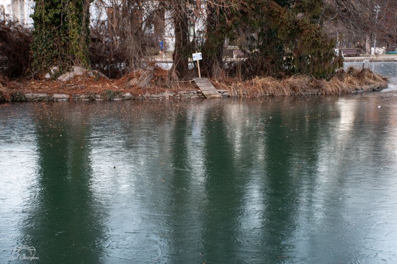 POZA ZILEI. Gheață și liniște: Lacul Chios din Cluj-Napoca își dezvăluie fața de iarnă | Foto: Paul Gheorgheci - Facebook