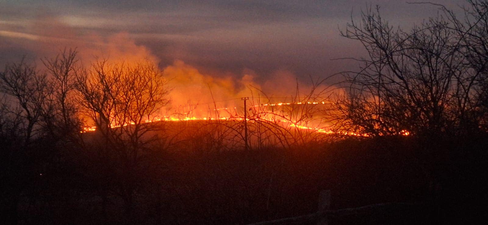 Incendiile de vegetație fac prăpăd în România| Foto: Departamentul pentru Situaţii de Urgenţă - Facebook