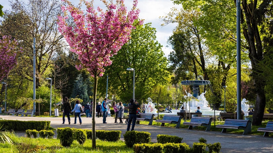 Vreme numai bună de plimbat în Parcul Central.  Foto: Facebook Emil Boc