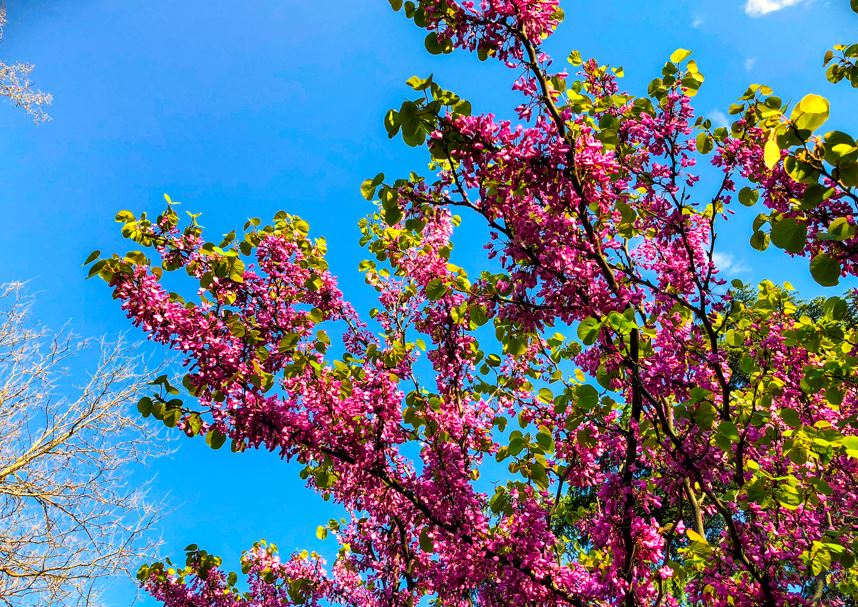 Prognoza meteo actualizată pentru minivacanța de 1 mai|Foto: Depositphotos.com