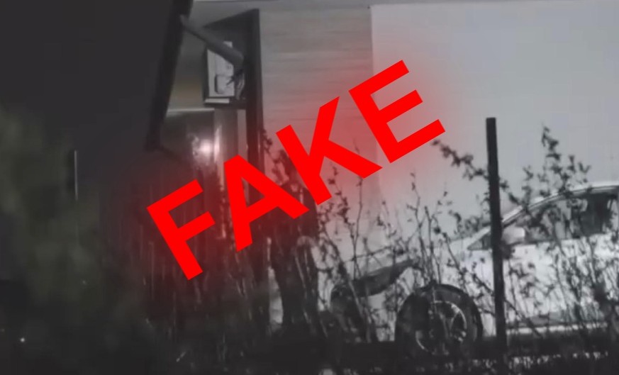 Fotografiile postate de Elena Lasconi pot rămâne online, a stabilit BEC| Foto original fără inscripția „Fake”: Elena Lasconi - Facebook