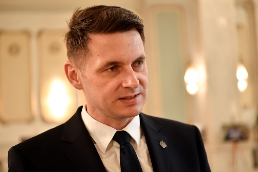 Președintele interimar al Senatului, Mircea Abrudean| Foto: Alex Micsik - Agerpres