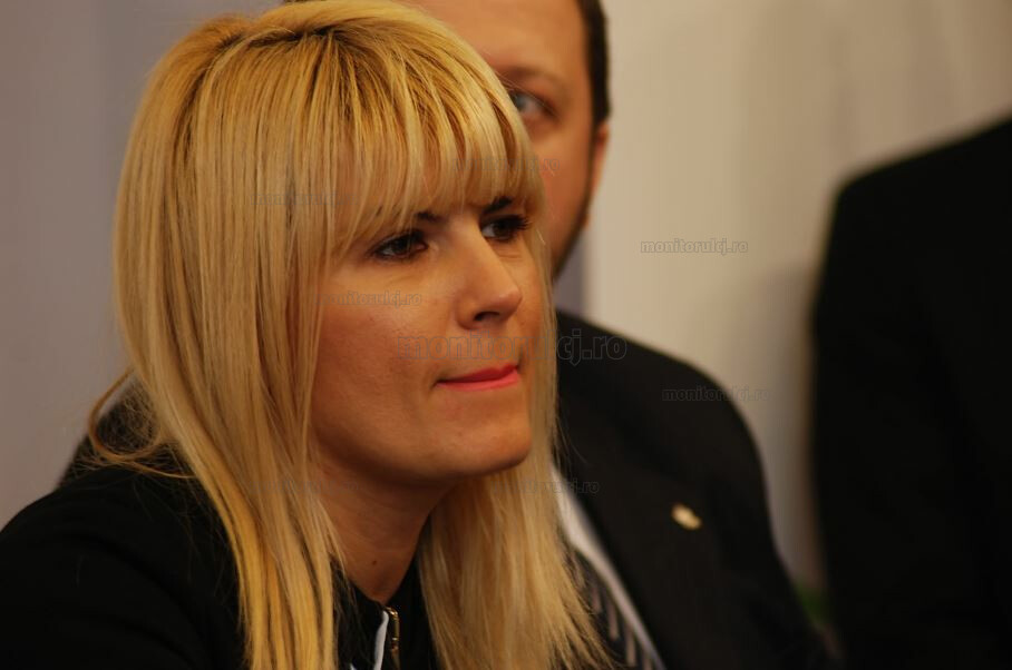 Elena Udrea solicită o nouă reducere a pedepsei|Foto: monitorulcj.ro
