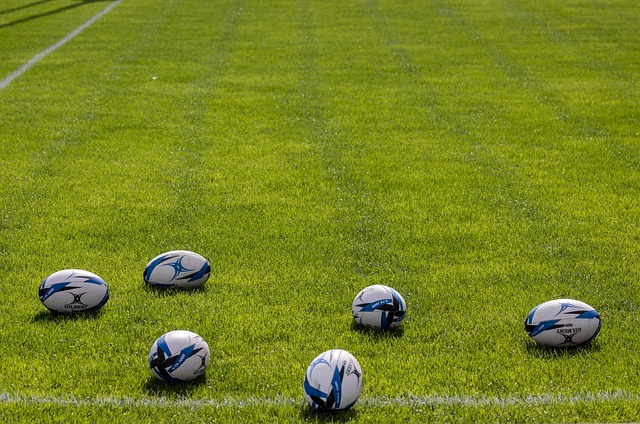 Steaua a câștigat astăzi în Ghencea cu 43-0 meciul cu  CS Universitatea ELBI Cluj | Foto: pixabay.com
