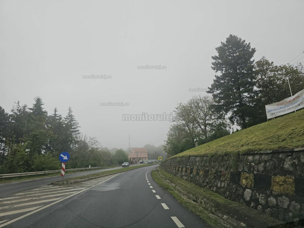 Toamnă pe Feleacu, deși primăvara e în calendar| Foto: monitorulcj.ro